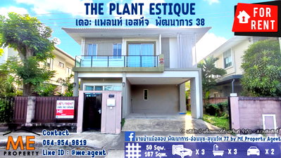 บ้านเดี่ยวให้เช่า :  ให้เช่า !! บ้านเดี่ยวหน้าสวน The Plant Estique  พัฒนาการ 38 หลังใหญ่ เฟอร์นิเจอร์ครบ เดินทางสะดวก  โทร 064-954-9619 (RBE14-50)