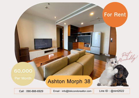 🍀🍀🍀 Pet-friendly🐶🐱 For Rent📌 Ashton Morph 38 📲 Line: @rent2022 🚆 BTS Thonglor 🔖PTC : A06854