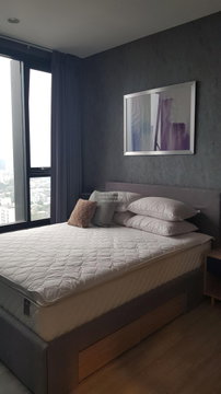 🔥🔥🔥 For Rent Condo , XT Ekkamai , BTS-Ekkamai , Khlong Tan Nuea , Watthana , Bangkok , CX-90334 ✅ Live chat with us ADD LINE @connexproperty ✅ 🔥🔥🔥