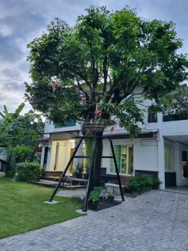 For Rent House , Baan Ladprao 2 Exclusive Residence , MRT-Ladprao 71 , Khlong Chan , Bang Kapi , Bangkok , CX-127293 ✅ Live chat with us ADD LINE @connexproperty ✅