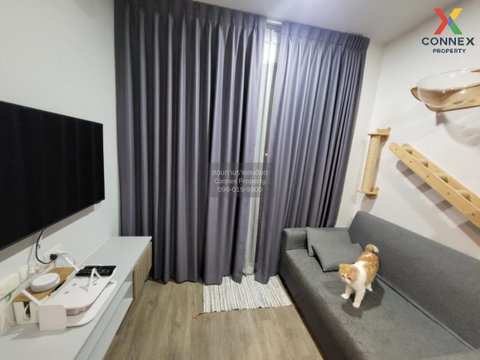 For Rent Condo , BRIXTON Pet&Play Sukhumvit 107 , BTS-Bearing , Samrong Nuea , Mueang Samut Prakan , Samut Prakarn , CX-94935 ✅ Live chat with us ADD LINE @connexproperty ✅