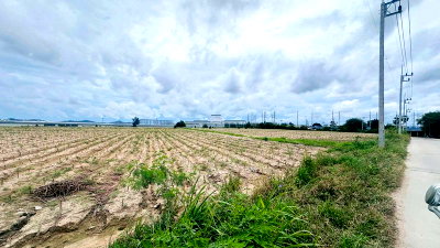 Land for sale ปลวกแดง : Beautiful land for sale in Mabyangporn area, Pluak Daeng, Rayong.
