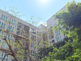 Project The Key Udomsuk Chaloemphrakiat Rama 9 Picture - 3/13