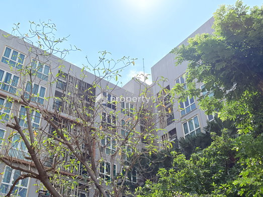 รูป The Key Udomsuk Chaloemphrakiat Rama 9 - รูปที่ 3/13