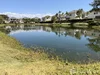 listing thumbnail image 43