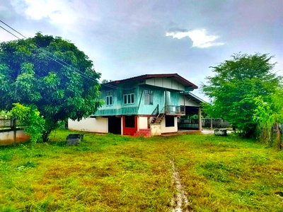 บ้านเดี่ยว พาน เชียงราย : F3-0388 ขายบ้านเดี่ยว ถนนสายบ้านสันผักฮี้ - บ้านป่าเหียง ต. สันกลาง อ.พาน จ.เชียงราย