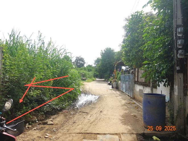 รูป ที่ดินว่างเปล่า 200 ตร.วา เมืองนครราชสีมา นครราชสีมา 1.7M - รูปที่ 7/17