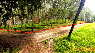 ที่ดิน ถลาง ภูเก็ต : ที่ดินว่างเปล่า 1612.5 ตร.วา ถลาง ภูเก็ต 14.1M