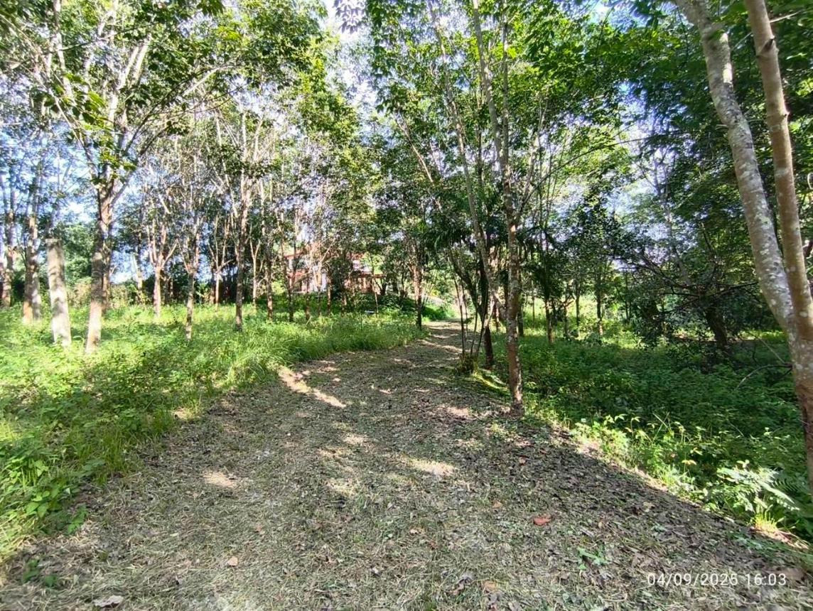 รูป บ้านเดี่ยว 3291 ตร.วา แม่สาย เชียงราย 10.7M - รูปที่ 46/51