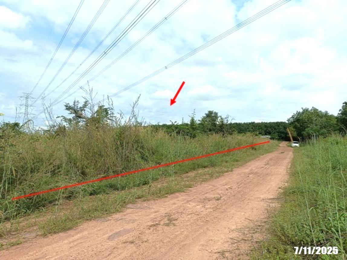 รูป ที่ดินว่างเปล่า 7878 ตร.วา ศรีบุญเรือง หนองบัวลำภู 914,000 - รูปที่ 15/25