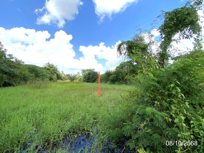 รูป ที่ดินว่างเปล่า 648 ตร.วา เมืองมหาสารคาม มหาสารคาม 3M - รูปที่ 7/17