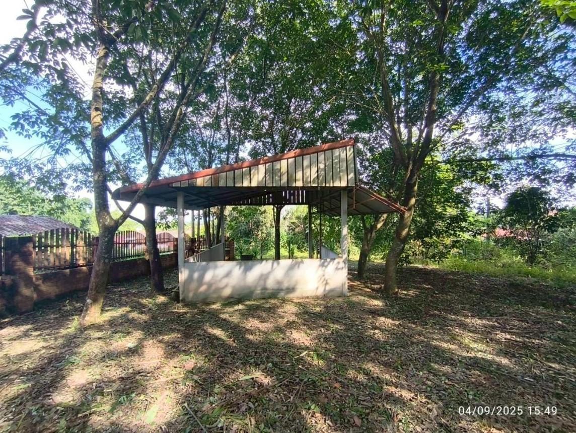รูป บ้านเดี่ยว 3291 ตร.วา แม่สาย เชียงราย 10.7M - รูปที่ 36/51