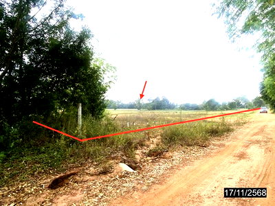 ขายที่ดิน : ที่ดินว่างเปล่า 23832 ตร.วา กุมภวาปี อุดรธานี 9.8M