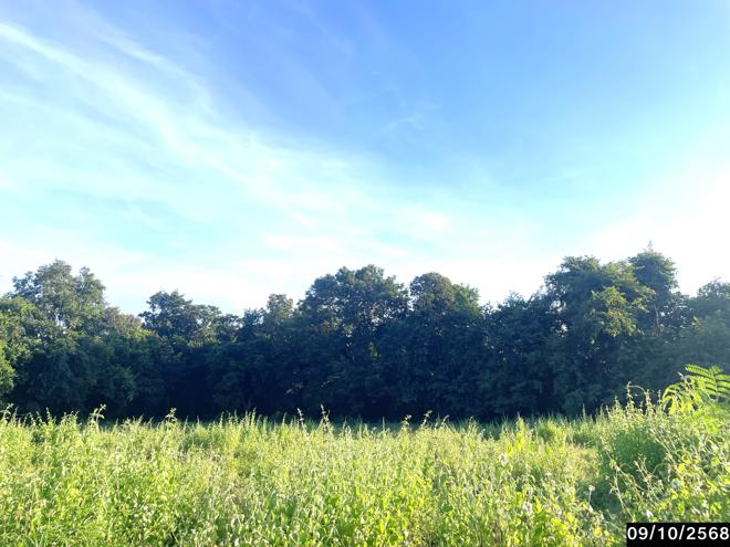 รูป ที่ดินว่างเปล่า 1197 ตร.วา ภูเวียง ขอนแก่น 1.4M - รูปที่ 6/15