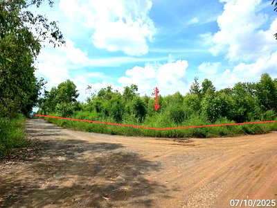 Land for sale Nong Phai Phetchabun : LAND 8869 Sq.w. Nong Phai Phetchabun for 2.6M