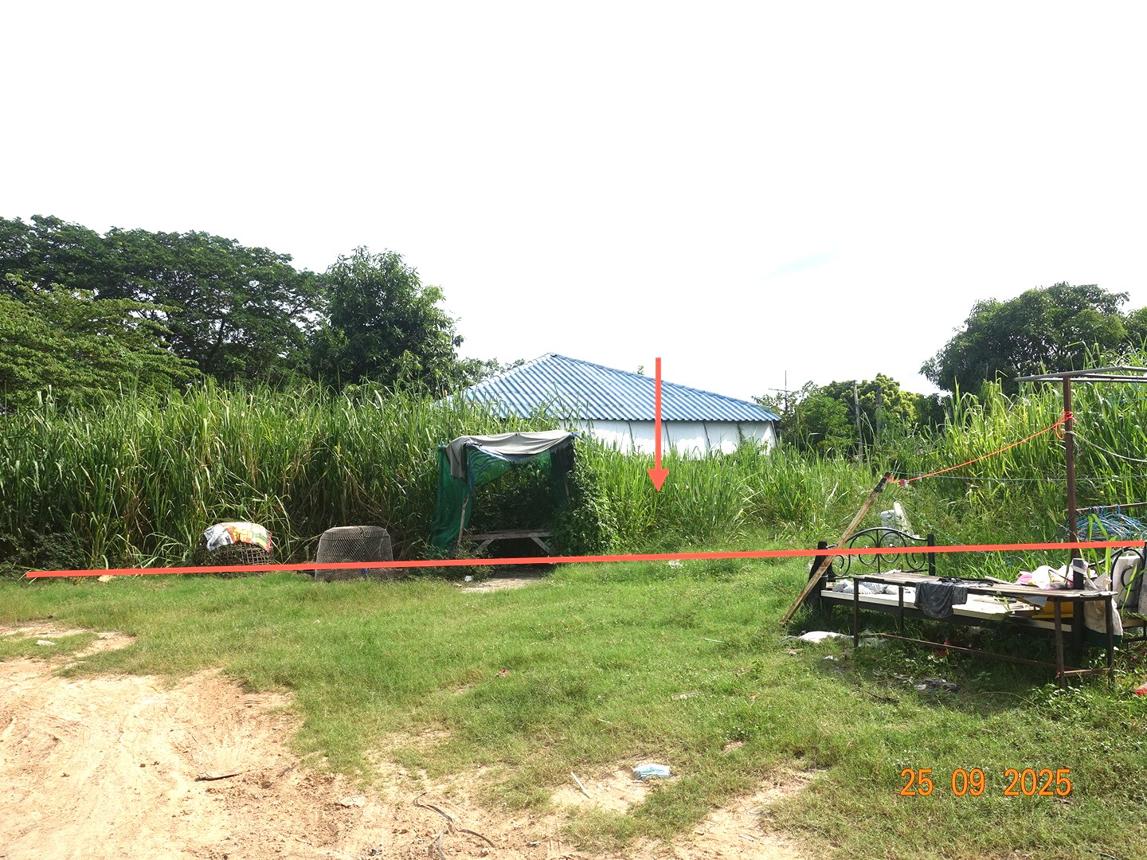 รูป ที่ดินว่างเปล่า 200 ตร.วา เมืองนครราชสีมา นครราชสีมา 1.7M - รูปที่ 10/17