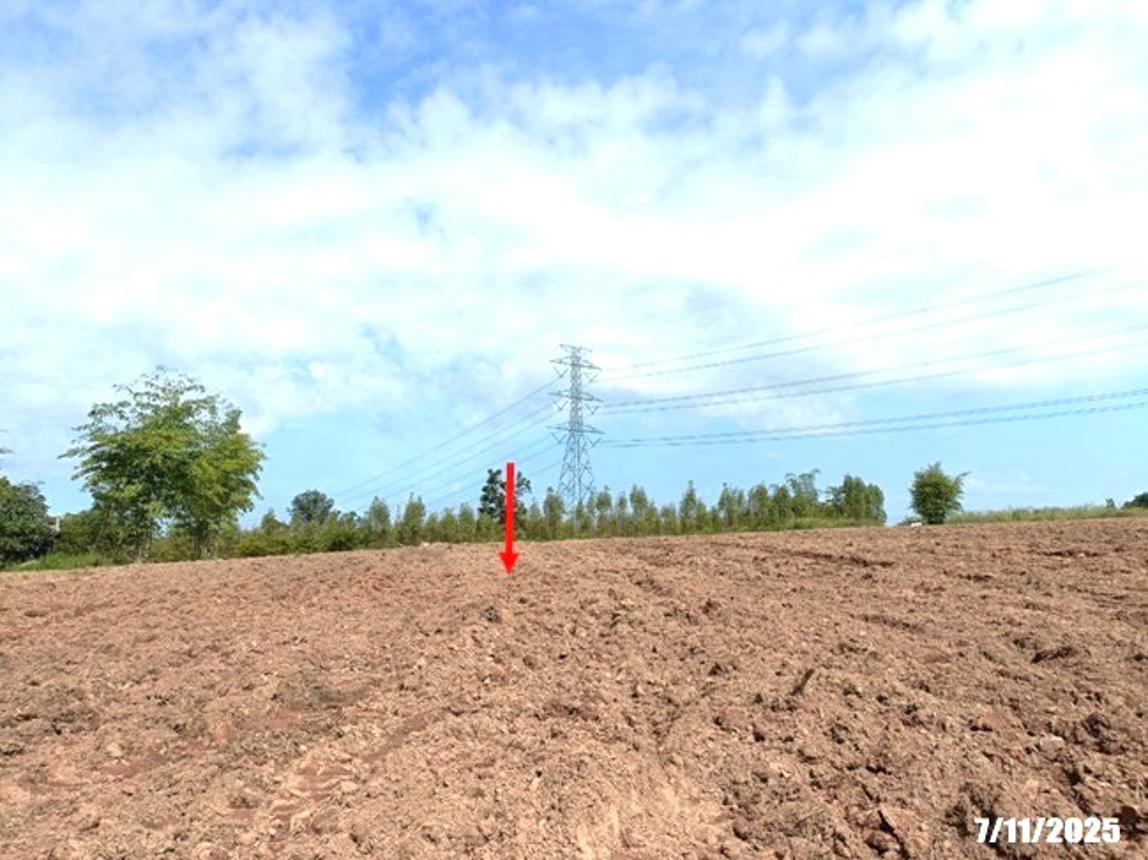รูป ที่ดินว่างเปล่า 7878 ตร.วา ศรีบุญเรือง หนองบัวลำภู 914,000 - รูปที่ 17/25