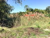 listing thumbnail image 38