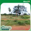 listing thumbnail image 14