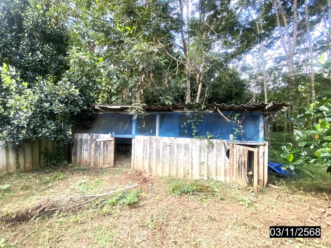 picture HOME 559 Sq.w. Wang Saphung Loei for 6.7M - 40/45