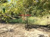 listing thumbnail image 39