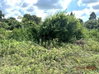 listing thumbnail image 19