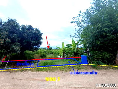 Land for sale Chiang Mai : LAND 2211.4 Sq.w. Fang Chiang Mai for 2.8M