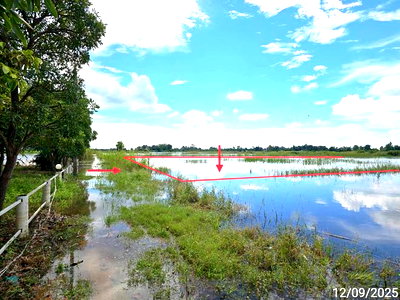 ขายที่ดิน : ที่ดินว่างเปล่า 2520 ตร.วา วังทอง พิษณุโลก 1.4M