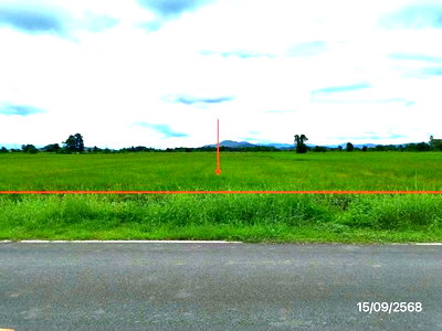 ขายที่ดิน : ที่ดินว่างเปล่า 1544 ตร.วา พาน เชียงราย 1.1M
