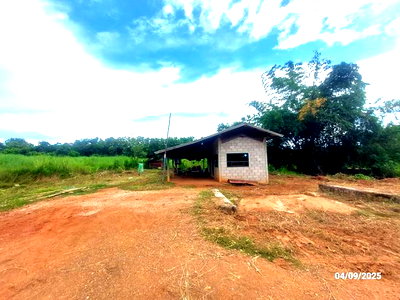 บ้านเดี่ยว วังสะพุง เลย : บ้านเดี่ยว 2344 ตร.วา วังสะพุง เลย 1.5M