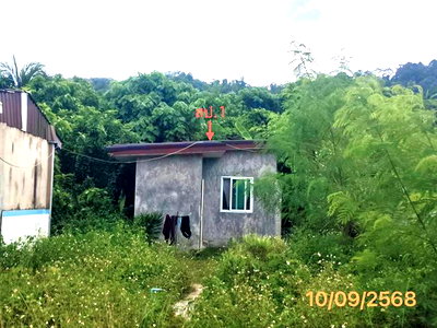 บ้านเดี่ยว กระบี่ : บ้านเดี่ยว 78 ตร.วา เมืองกระบี่ กระบี่ 2.7M