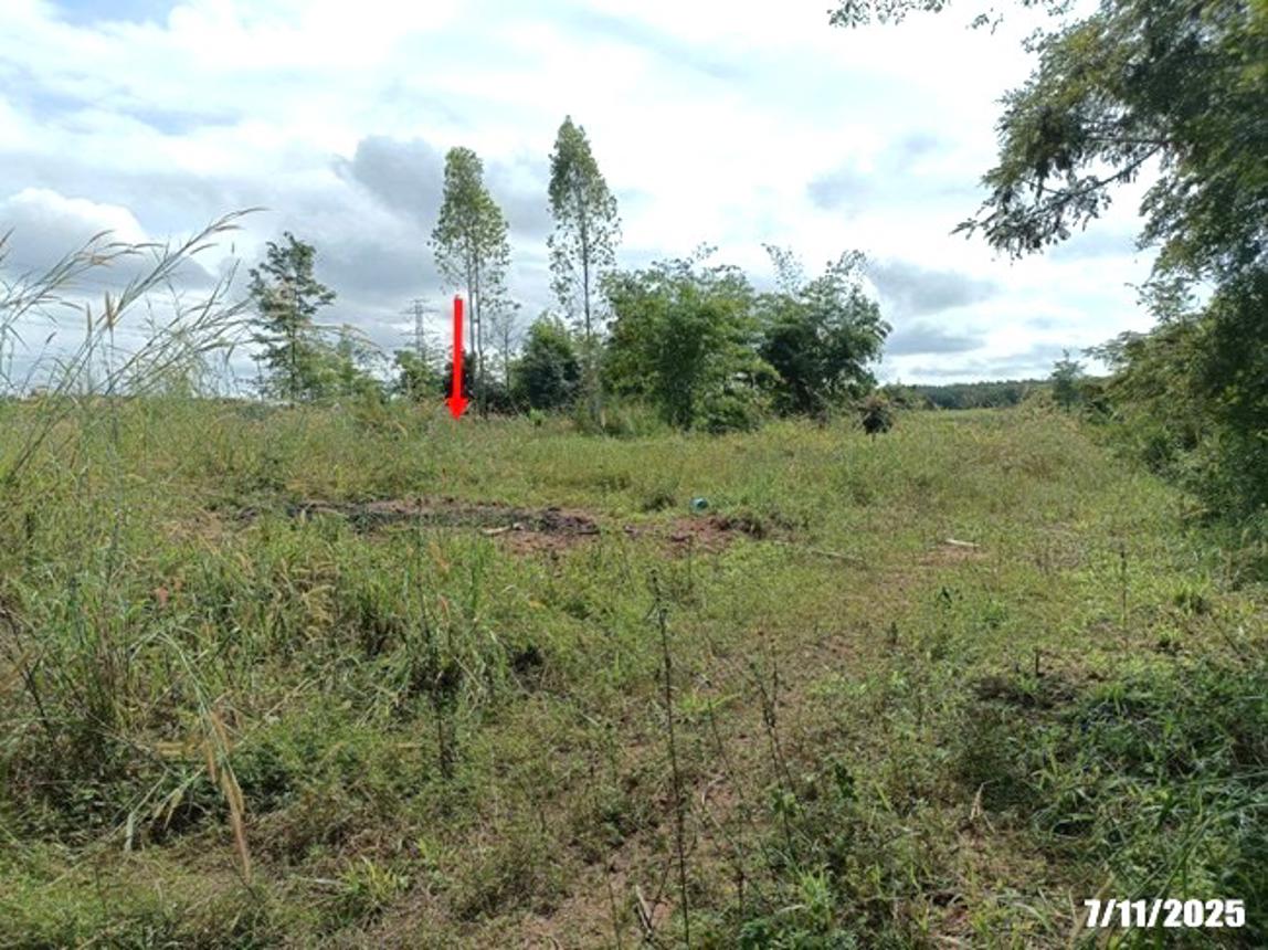 รูป ที่ดินว่างเปล่า 7878 ตร.วา ศรีบุญเรือง หนองบัวลำภู 914,000 - รูปที่ 18/25