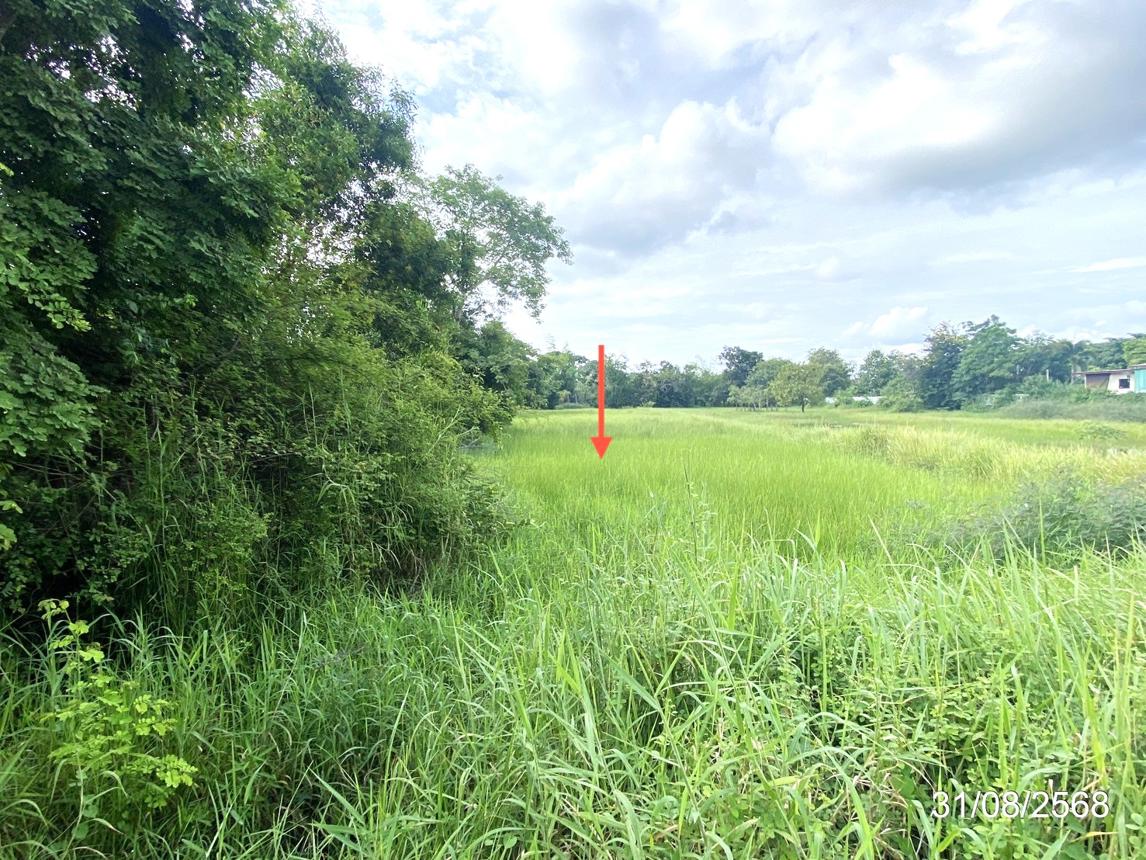 รูป ที่ดินว่างเปล่า 791.6 ตร.วา เมืองมหาสารคาม มหาสารคาม 4.9M - รูปที่ 12/17