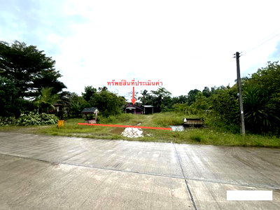 Houses for sale Surat Thani : HOME 193 Sq.w. Chaiburi Surat Thani for 1.5M