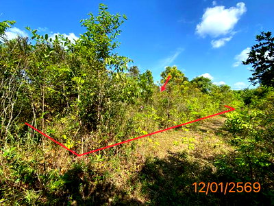 ขายที่ดิน : ที่ดินว่างเปล่า 125 ตร.วา เมืองกระบี่ กระบี่ 668,000