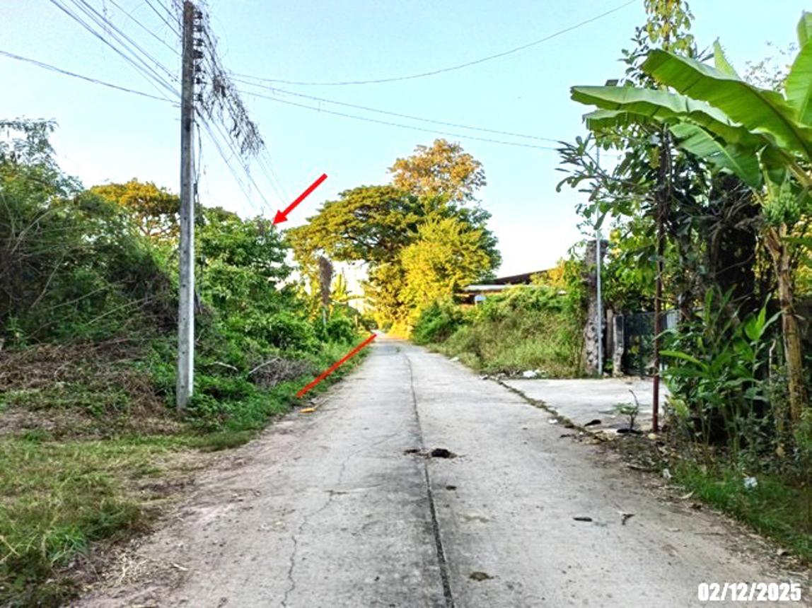 รูป ที่ดินว่างเปล่า 100 ตร.วา ศรีบุญเรือง หนองบัวลำภู 464,000 - รูปที่ 18/23