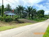 listing thumbnail image 26