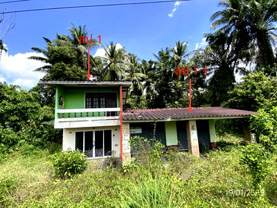 HOME 231 Sq.w. Wang Wiset Trang for 1.4M