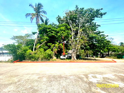 Land for sale Satun : LAND 139.7 Sq.w. La Ngu Satun for 5.3M