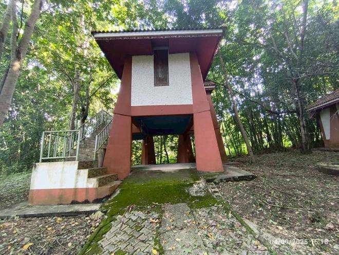 รูป บ้านเดี่ยว 3291 ตร.วา แม่สาย เชียงราย 10.7M - รูปที่ 12/51