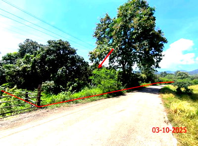 ขายที่ดิน : ที่ดินว่างเปล่า 5611 ตร.วา ลี้ ลำพูน 3.3M