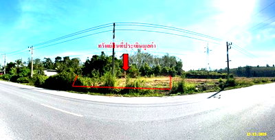 ขายที่ดิน : ที่ดินว่างเปล่า 650.1 ตร.วา รามัน ยะลา 1.2M