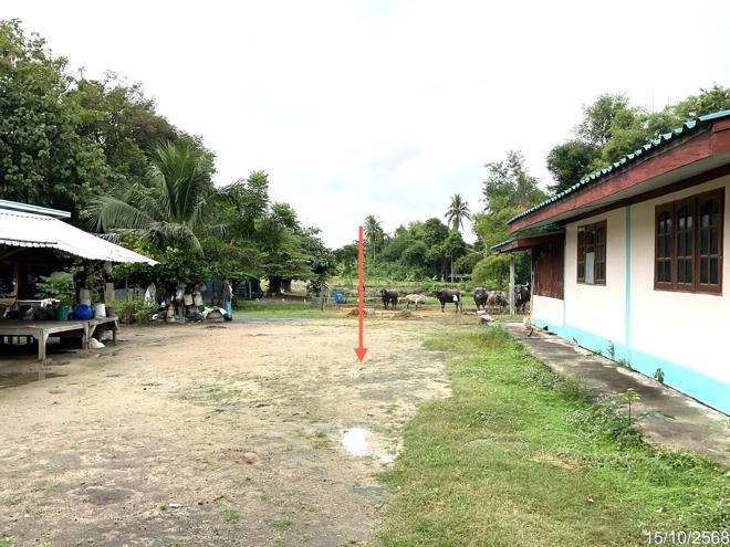 รูป บ้านเดี่ยว 619 ตร.วา ลาดยาว นครสวรรค์ 2.4M - รูปที่ 13/35