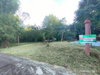 listing thumbnail image 23