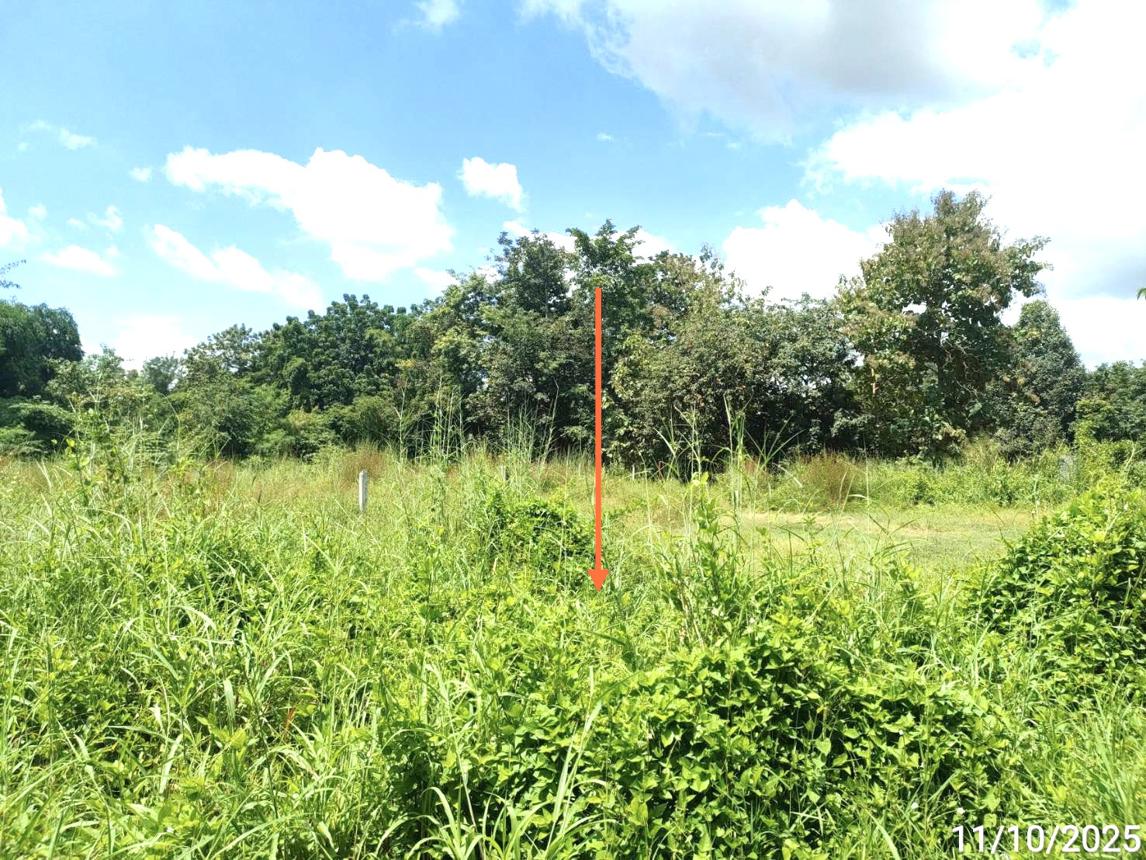 รูป ที่ดินว่างเปล่า 1602 ตร.วา โกสุมพิสัย มหาสารคาม 1.8M - รูปที่ 11/15