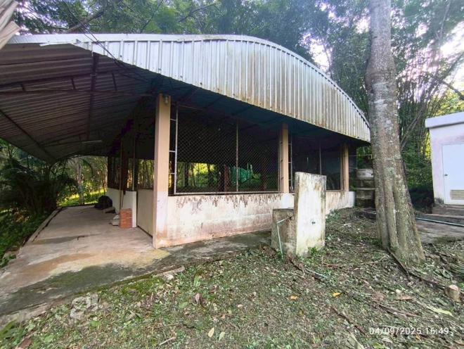 รูป บ้านเดี่ยว 3291 ตร.วา แม่สาย เชียงราย 10.7M - รูปที่ 16/51