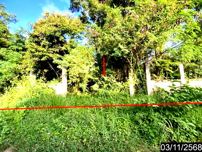 ขายที่ดิน : ที่ดินว่างเปล่า 352 ตร.วา เมืองอุดรธานี อุดรธานี 743,000