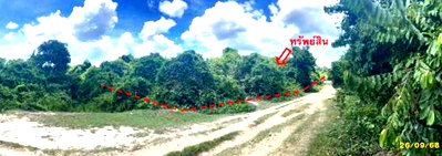LAND 8296.2 Sq.w. Muang Narathiwat Narathiwat for 6.8M