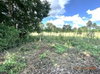 listing thumbnail image 20