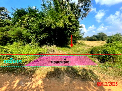 ขายที่ดิน : ที่ดินว่างเปล่า 1785 ตร.วา เกาะคา ลำปาง 555,000